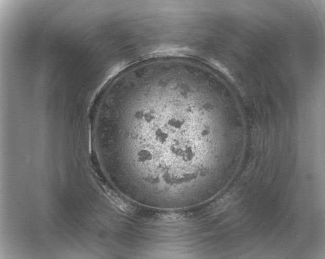 X0000067531219200604150217