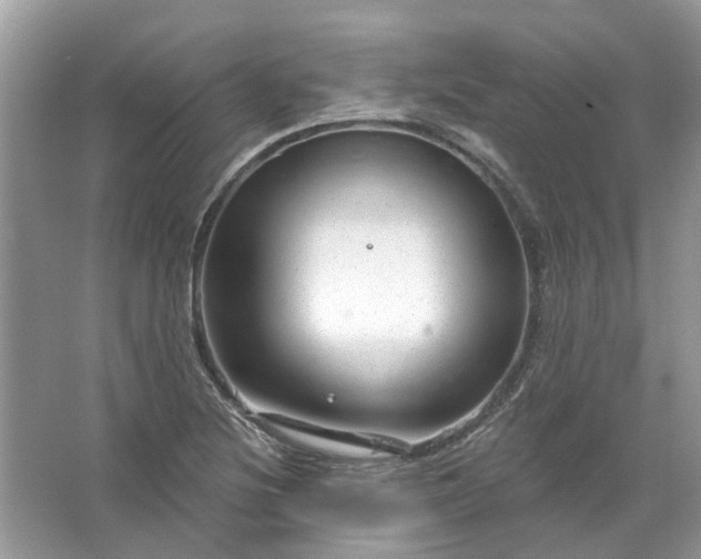 X0000067531220200604150217