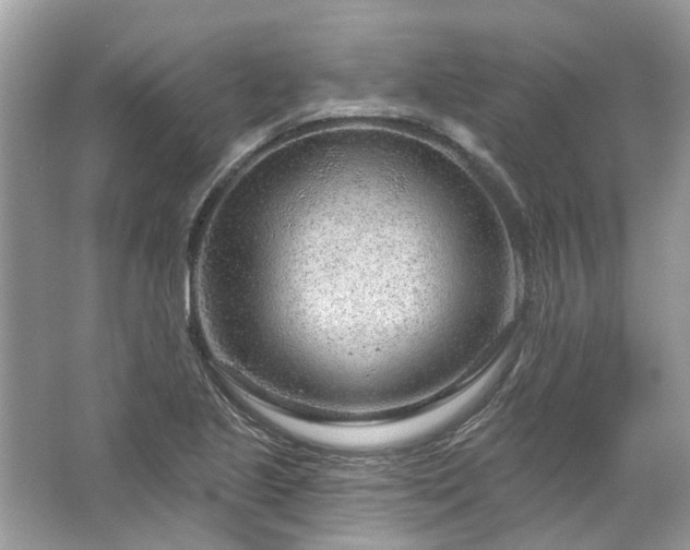 X0000067531221200604150217