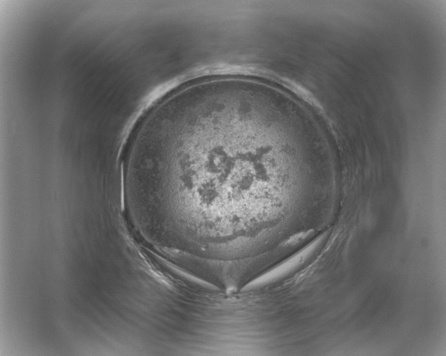 X0000067531223200604150217