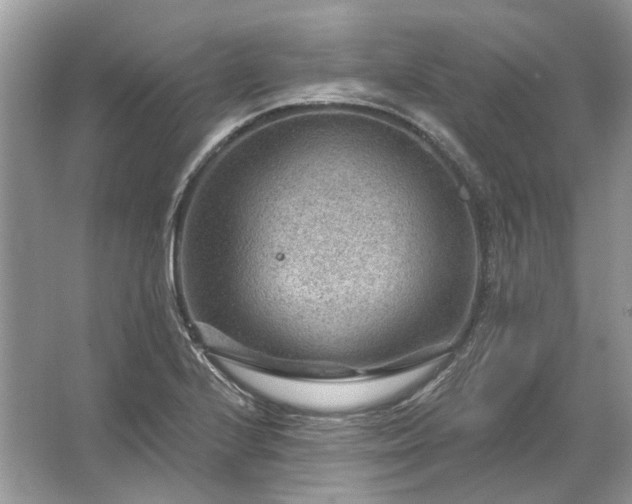 X0000067531224200604150217