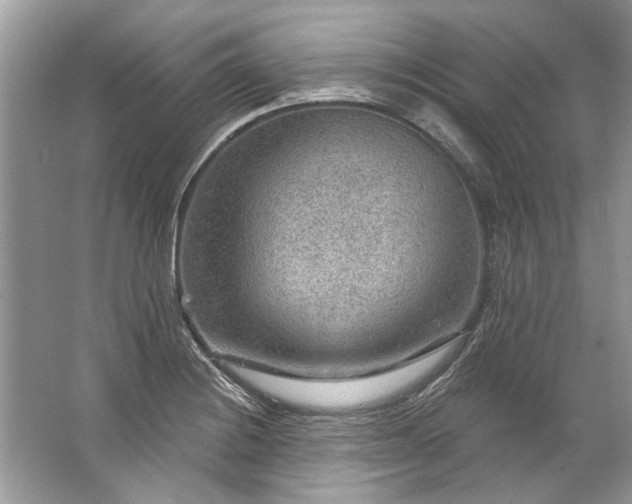 X0000067531228200604150217