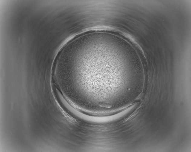 X0000067531229200604150217