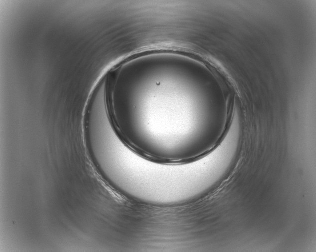 X0000067531230200604150217