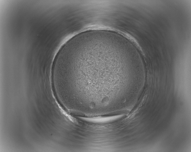 X0000067531231200604150217