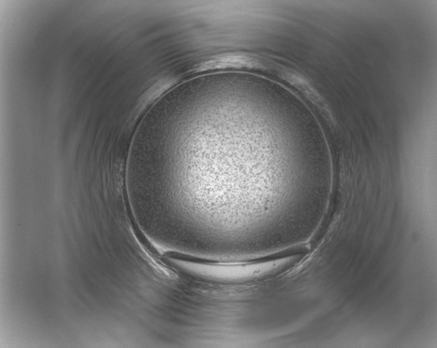 X0000067531233200604150217