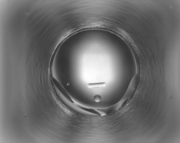 X0000067531234200604150217