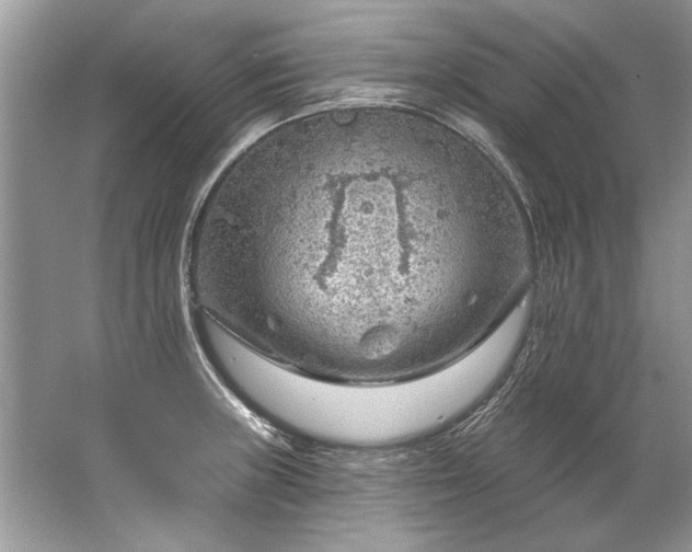 X0000067531235200604150217