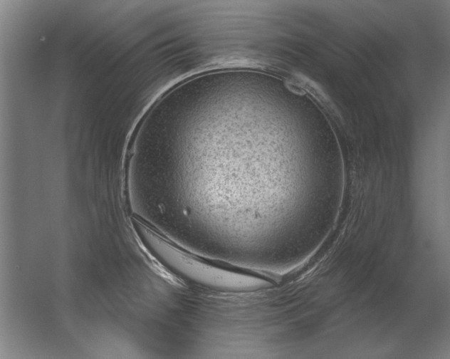 X0000067531236200604150217