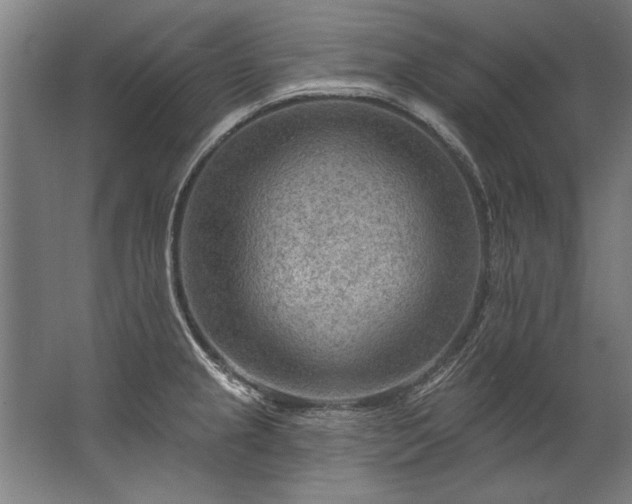 X0000067531237200604150217