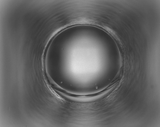 X0000067531238200604150217