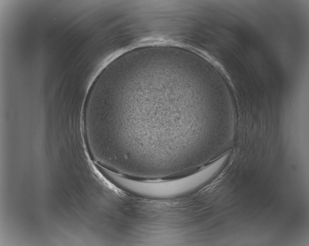 X0000067531239200604150217