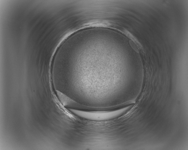 X0000067531240200604150217