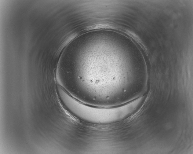 X0000067531241200604150217