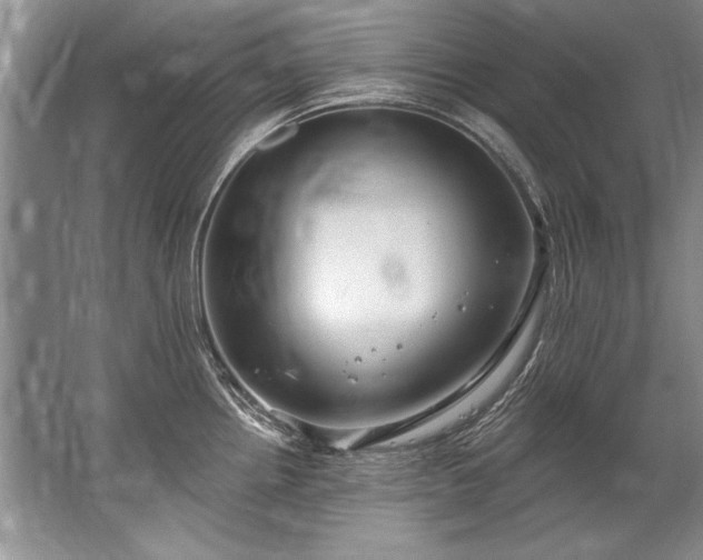 X0000067531242200604150217