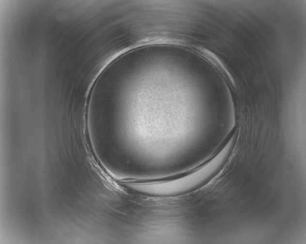 X0000067531244200604150217