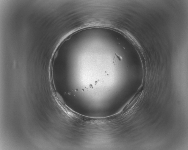 X0000067531246200604150217