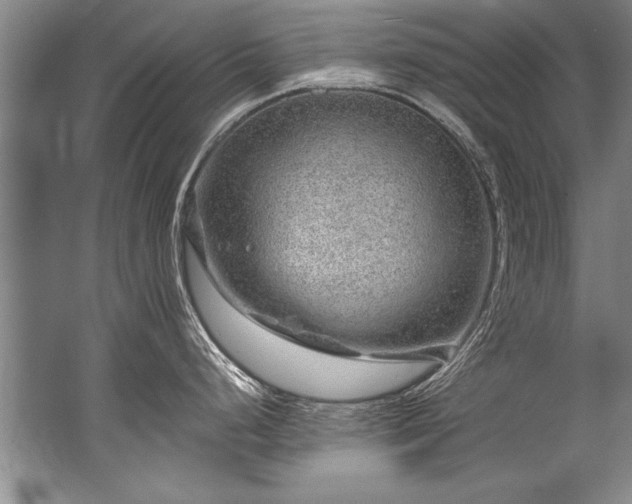 X0000067531248200604150217