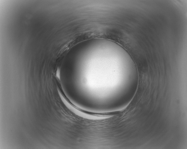 X0000067531250200604150216