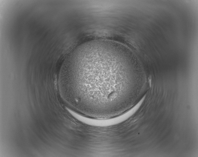 X0000067531251200604150216