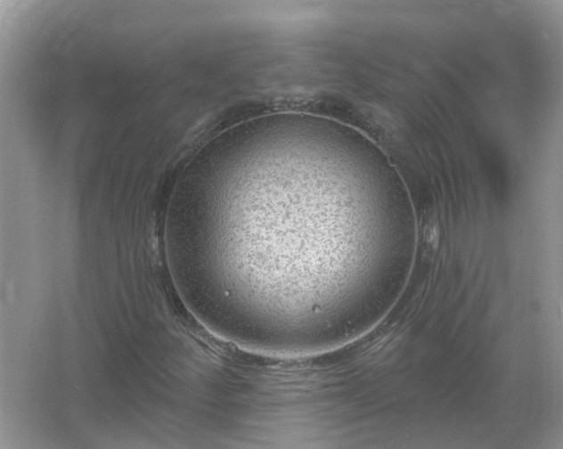 X0000067531252200604150216