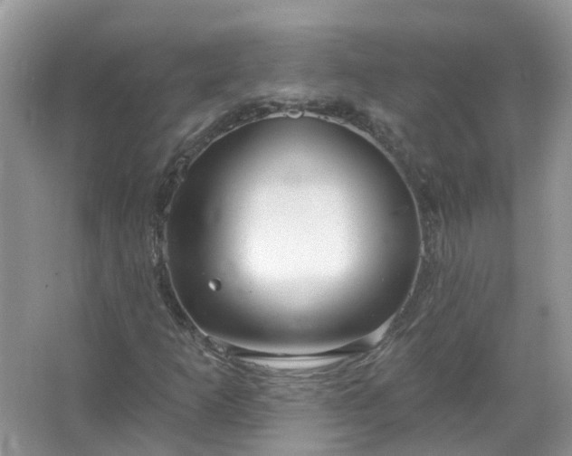 X0000067531253200604150216