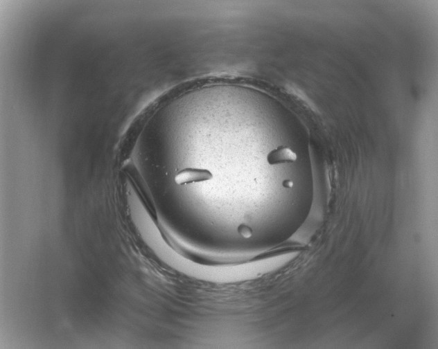 X0000067531256200604150216