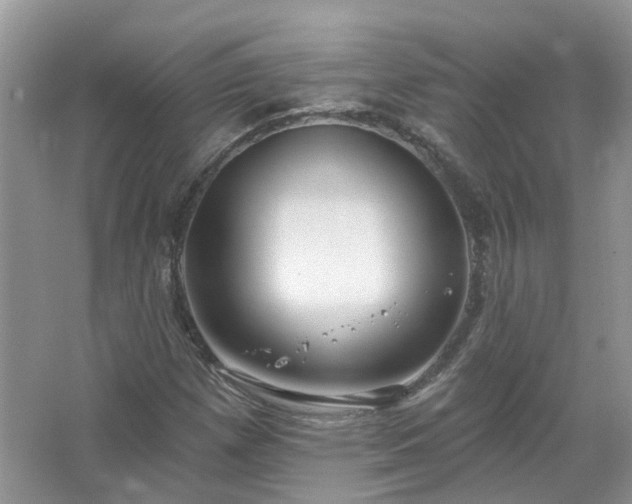 X0000067531257200604150216