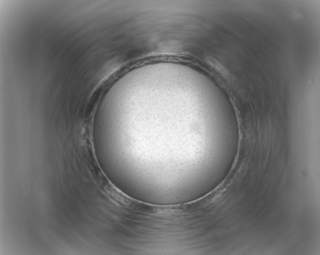 X0000067531258200604150216