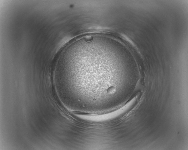 X0000067531259200604150216