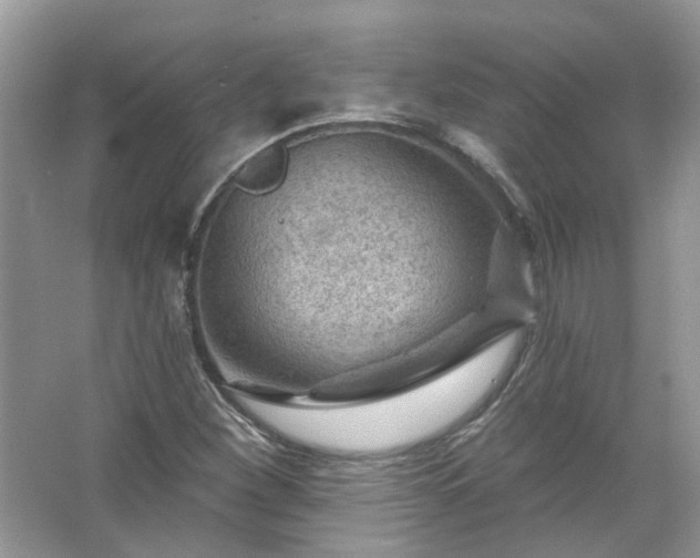 X0000067531260200604150216