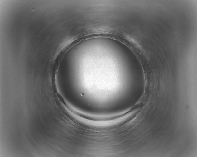 X0000067531261200604150216