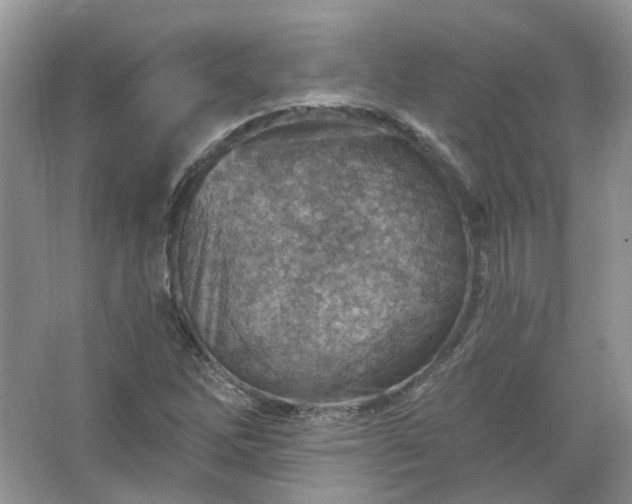 X0000067531262200604150216