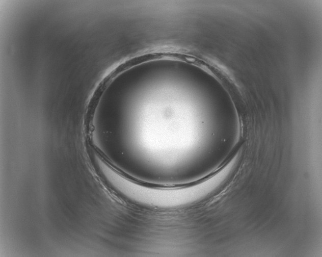 X0000067531264200604150216