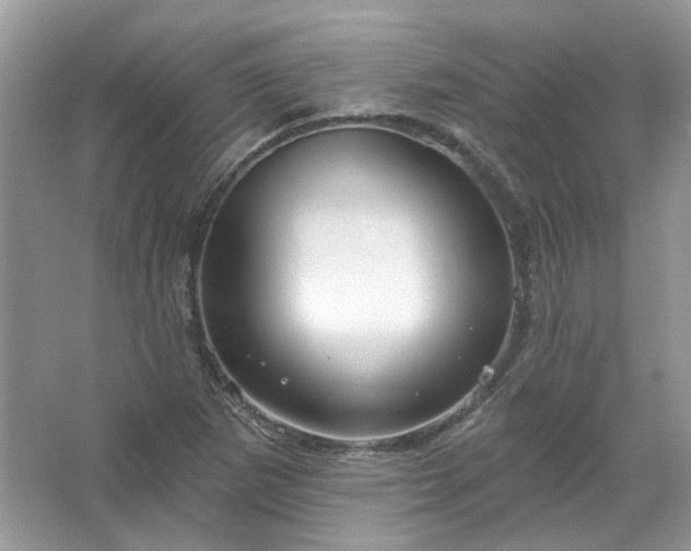 X0000067531265200604150216