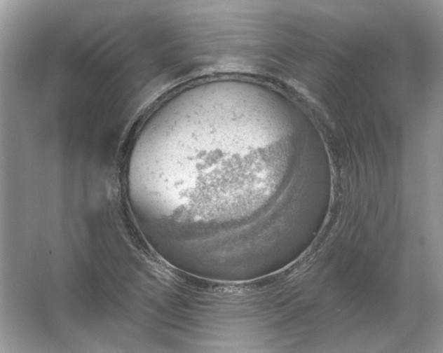 X0000067531266200604150216