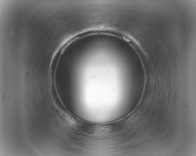 X0000067531270200604150216