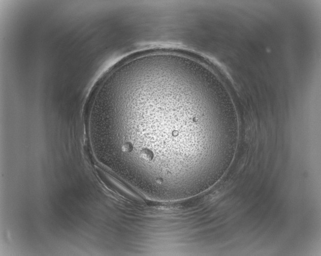 X0000067531271200604150216