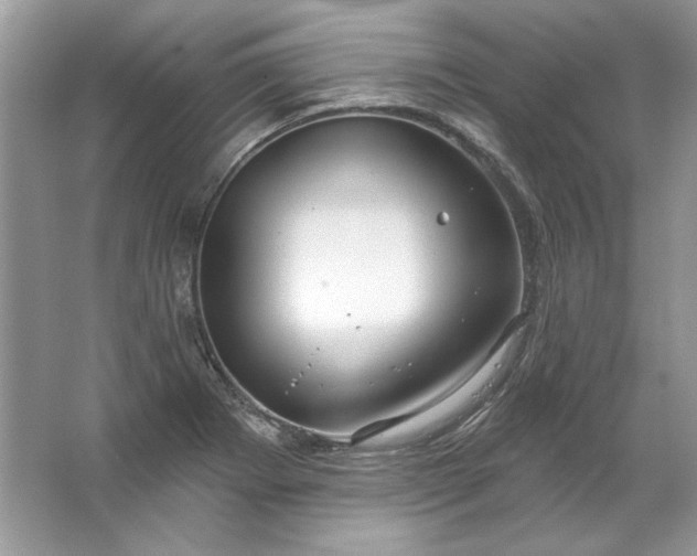 X0000067531273200604150216