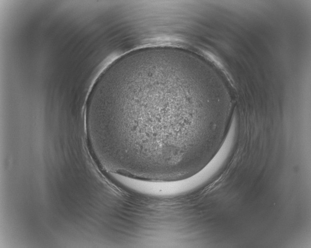 X0000067531275200604150216