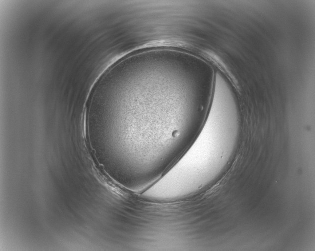 X0000067531276200604150216