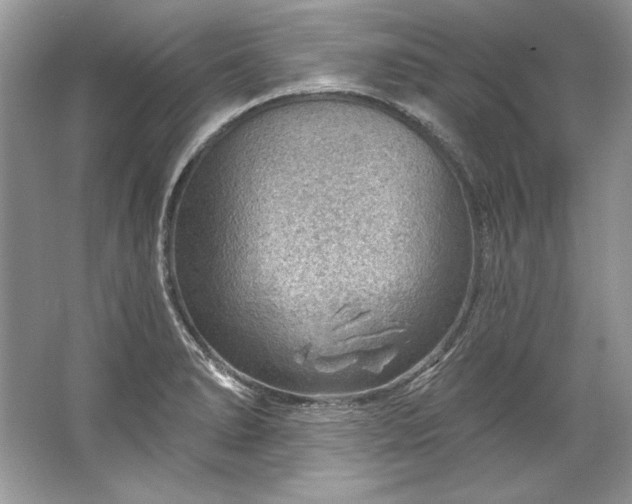 X0000067531278200604150216