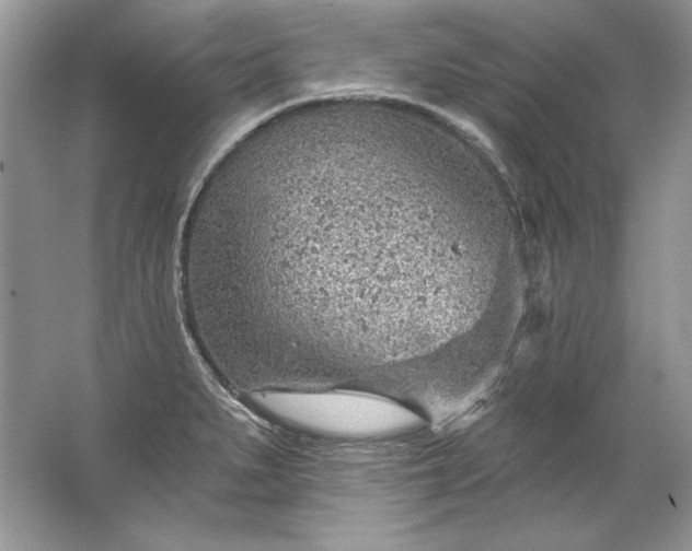 X0000067531279200604150216