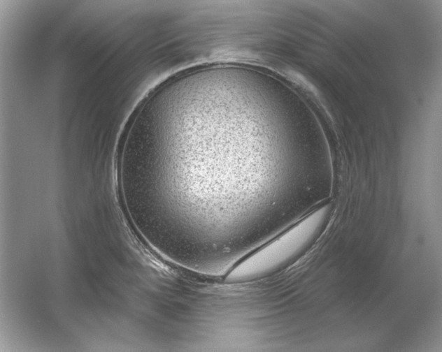 X0000067531280200604150216