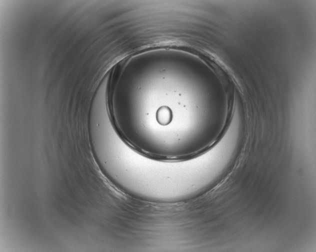 X0000067531281200604150216