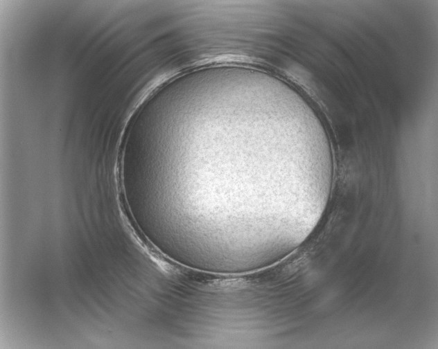 X0000067531282200604150216