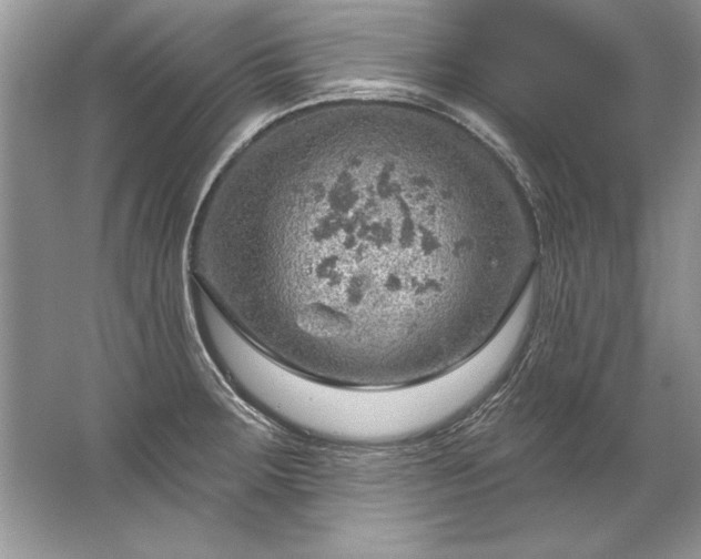 X0000067531283200604150216