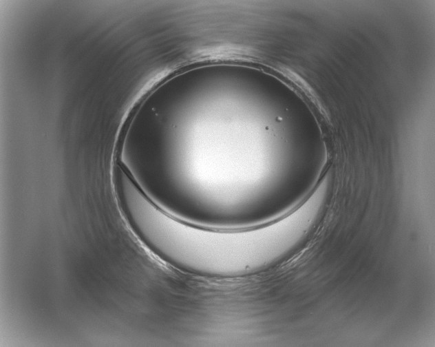 X0000067531285200604150216