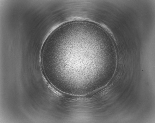 X0000067531287200604150216