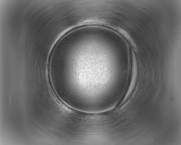 X0000067531288200604150216